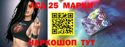 крисы Кингисепп