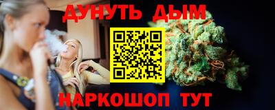 крисы Кингисепп
