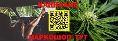 крисы Кингисепп