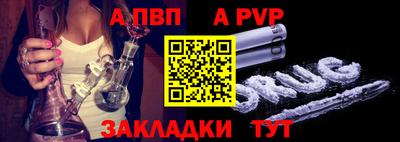 крисы Кингисепп