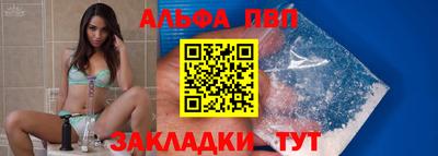 крисы Кингисепп