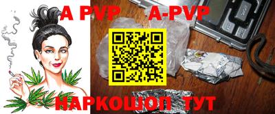 крисы Кингисепп