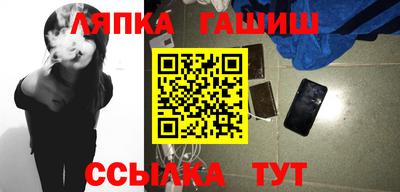 крисы Кингисепп